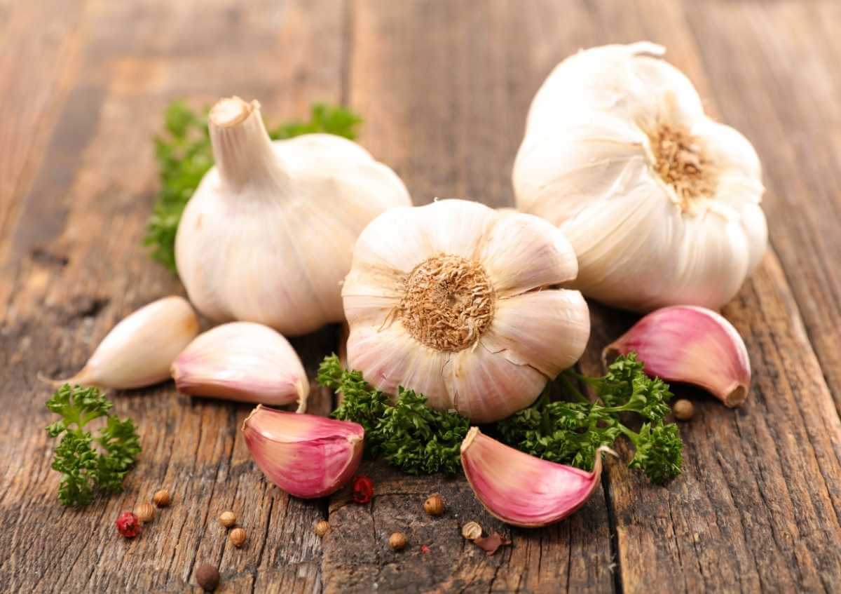 Një thelb hudhër në ditë, sa shumë përfitime